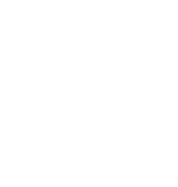 Lashes & Gallery 